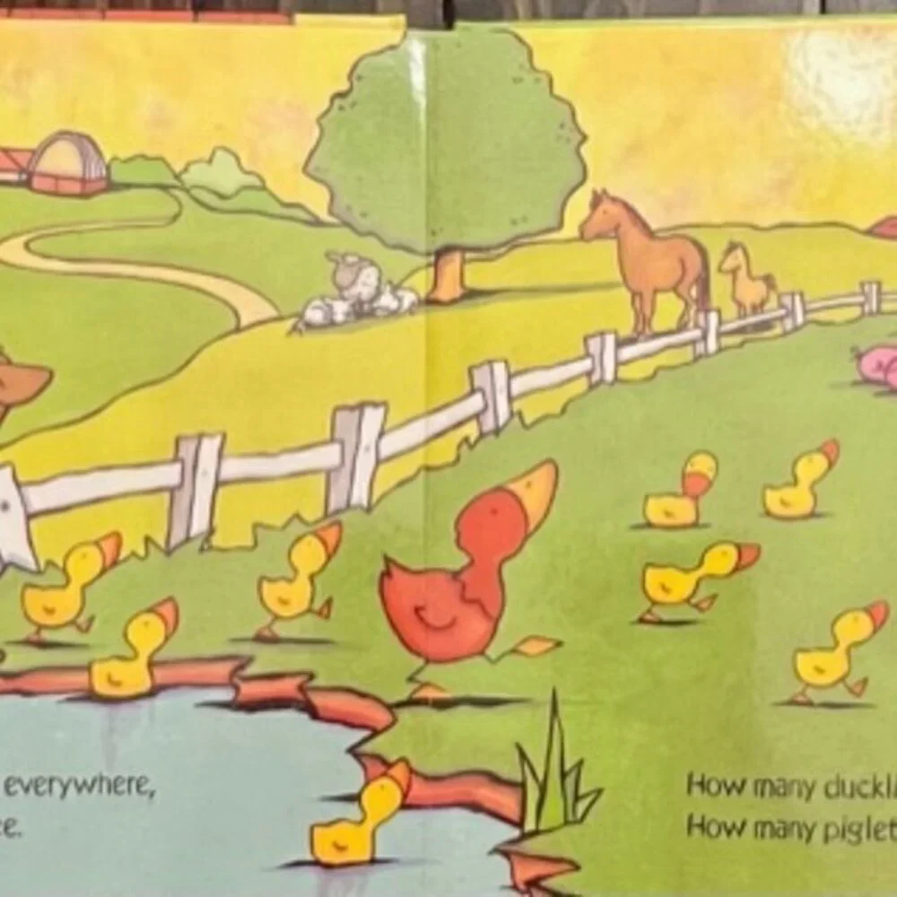 Book Bundle Kids, Animal Hide and Seek, A is for Apple, Peek-a-Boo Farm‎ GIFT